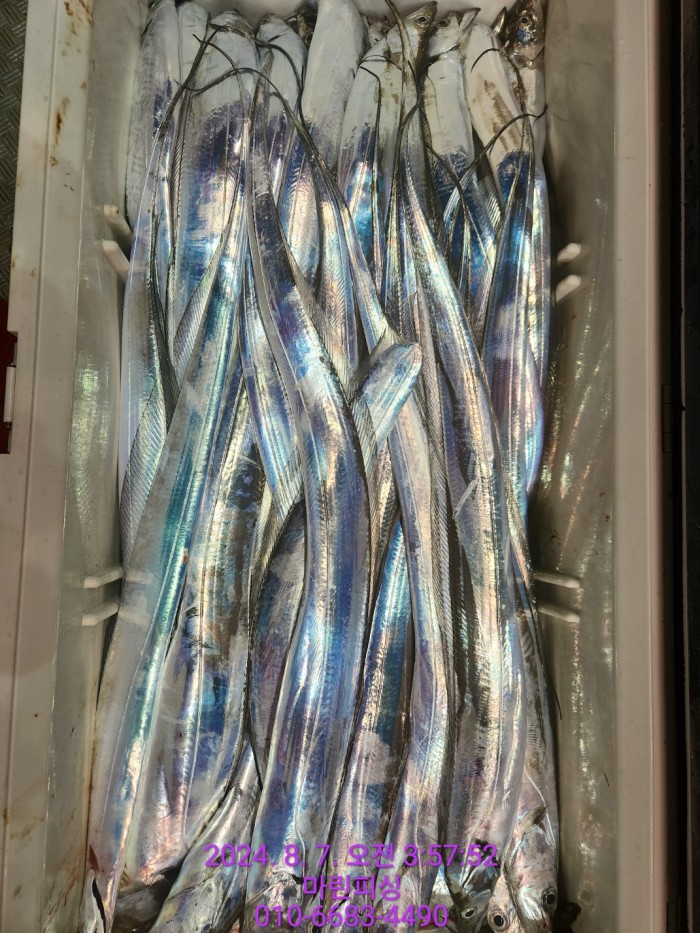 ea84bdd22956338110db5cfcc48ddb86_1722995012_1522.jpg ea84bdd22956338110db5cfcc48ddb86_1722995012_1522.jpg