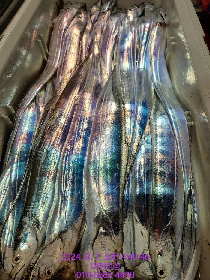 ea84bdd22956338110db5cfcc48ddb86_1722995013_5846.jpg ea84bdd22956338110db5cfcc48ddb86_1722995013_5846.jpg