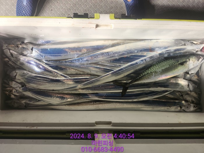 ea84bdd22956338110db5cfcc48ddb86_1723165080_183.jpg ea84bdd22956338110db5cfcc48ddb86_1723165080_183.jpg