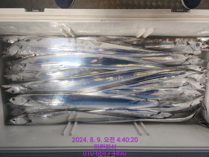 ea84bdd22956338110db5cfcc48ddb86_1723165081_8901.jpg ea84bdd22956338110db5cfcc48ddb86_1723165081_8901.jpg