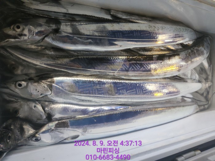 ea84bdd22956338110db5cfcc48ddb86_1723165082_9295.jpg ea84bdd22956338110db5cfcc48ddb86_1723165082_9295.jpg