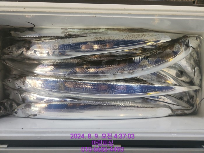 ea84bdd22956338110db5cfcc48ddb86_1723165083_9314.jpg ea84bdd22956338110db5cfcc48ddb86_1723165083_9314.jpg