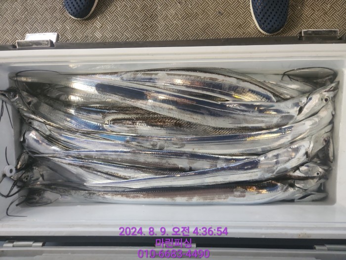 ea84bdd22956338110db5cfcc48ddb86_1723165085_2904.jpg ea84bdd22956338110db5cfcc48ddb86_1723165085_2904.jpg