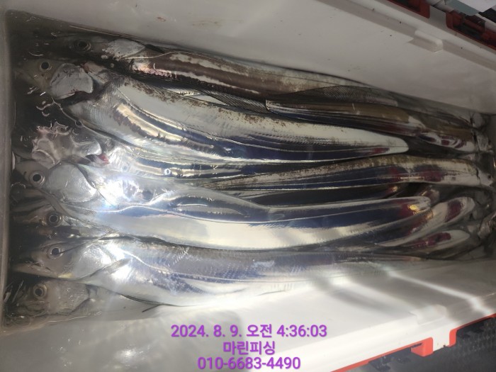 ea84bdd22956338110db5cfcc48ddb86_1723165086_5338.jpg ea84bdd22956338110db5cfcc48ddb86_1723165086_5338.jpg