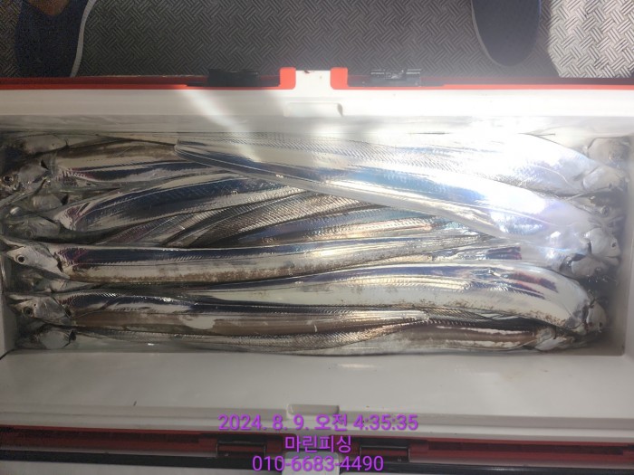 ea84bdd22956338110db5cfcc48ddb86_1723165087_7191.jpg ea84bdd22956338110db5cfcc48ddb86_1723165087_7191.jpg