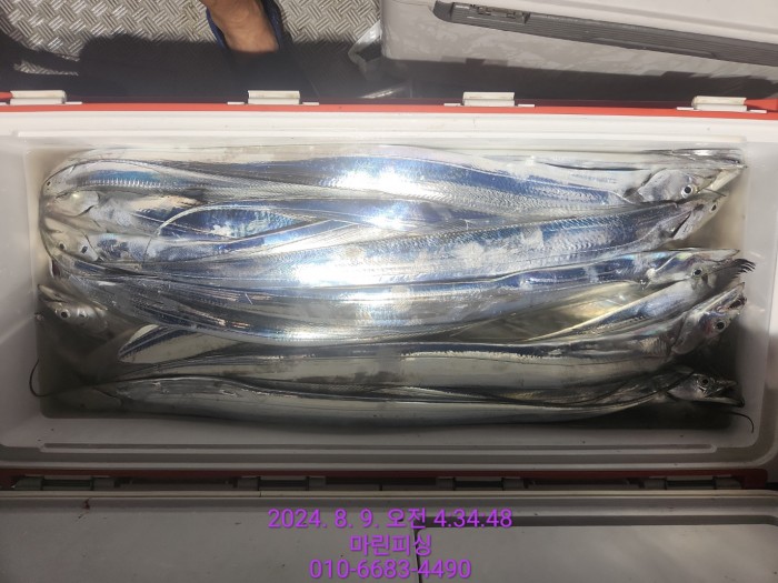 ea84bdd22956338110db5cfcc48ddb86_1723165089_0337.jpg ea84bdd22956338110db5cfcc48ddb86_1723165089_0337.jpg