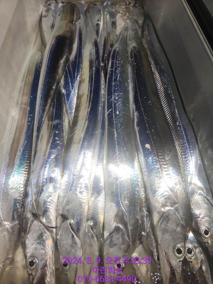 ea84bdd22956338110db5cfcc48ddb86_1723165091_2345.jpg ea84bdd22956338110db5cfcc48ddb86_1723165091_2345.jpg