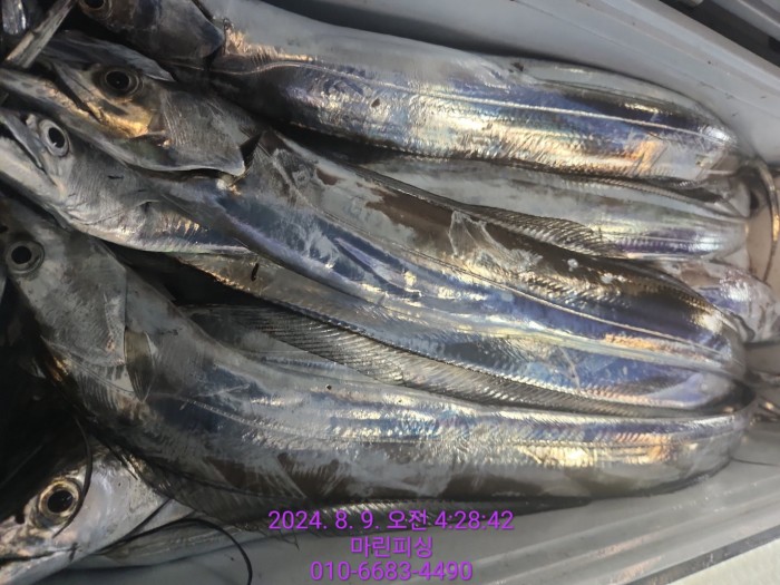 ea84bdd22956338110db5cfcc48ddb86_1723165093_4359.jpg ea84bdd22956338110db5cfcc48ddb86_1723165093_4359.jpg