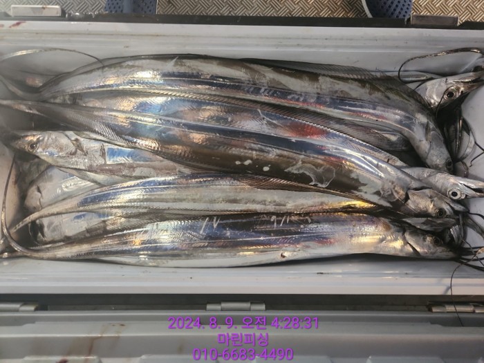 ea84bdd22956338110db5cfcc48ddb86_1723165095_1178.jpg ea84bdd22956338110db5cfcc48ddb86_1723165095_1178.jpg