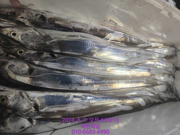 ea84bdd22956338110db5cfcc48ddb86_1723165096_1241.jpg ea84bdd22956338110db5cfcc48ddb86_1723165096_1241.jpg