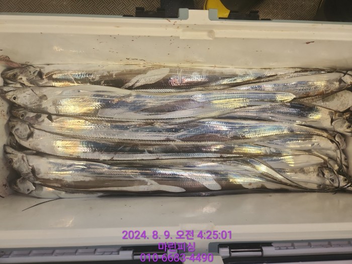 ea84bdd22956338110db5cfcc48ddb86_1723165097_6262.jpg ea84bdd22956338110db5cfcc48ddb86_1723165097_6262.jpg