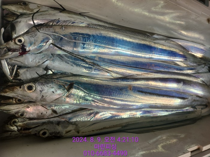 ea84bdd22956338110db5cfcc48ddb86_1723165099_301.jpg ea84bdd22956338110db5cfcc48ddb86_1723165099_301.jpg