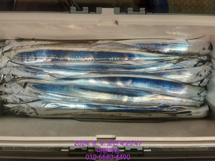 ea84bdd22956338110db5cfcc48ddb86_1723165101_0523.jpg ea84bdd22956338110db5cfcc48ddb86_1723165101_0523.jpg