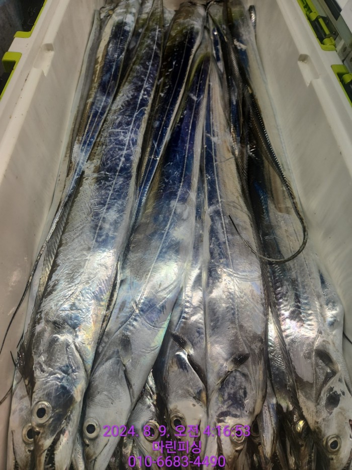 ea84bdd22956338110db5cfcc48ddb86_1723165102_2904.jpg ea84bdd22956338110db5cfcc48ddb86_1723165102_2904.jpg