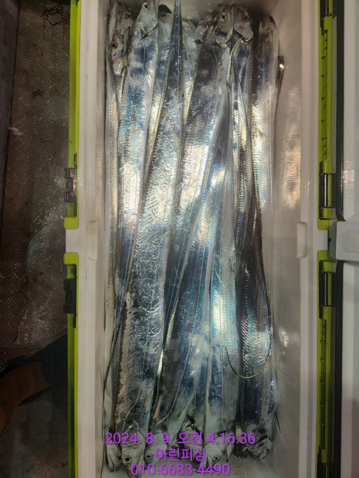 ea84bdd22956338110db5cfcc48ddb86_1723165103_5888.jpg ea84bdd22956338110db5cfcc48ddb86_1723165103_5888.jpg