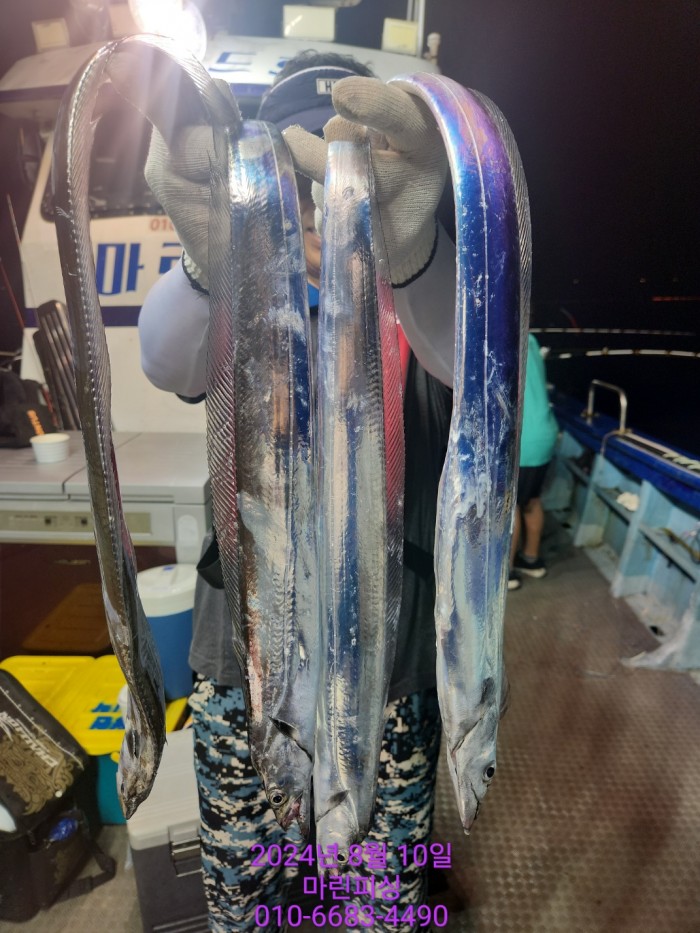 ea84bdd22956338110db5cfcc48ddb86_1723251979_3506.jpg ea84bdd22956338110db5cfcc48ddb86_1723251979_3506.jpg