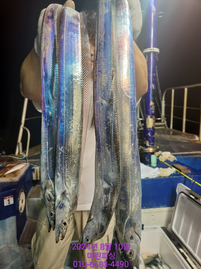 ea84bdd22956338110db5cfcc48ddb86_1723251980_8286.jpg ea84bdd22956338110db5cfcc48ddb86_1723251980_8286.jpg