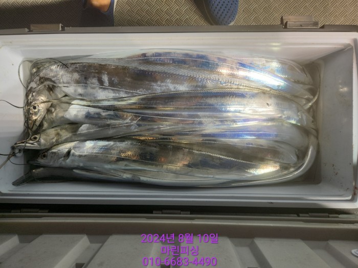 ea84bdd22956338110db5cfcc48ddb86_1723251984_9274.jpg ea84bdd22956338110db5cfcc48ddb86_1723251984_9274.jpg