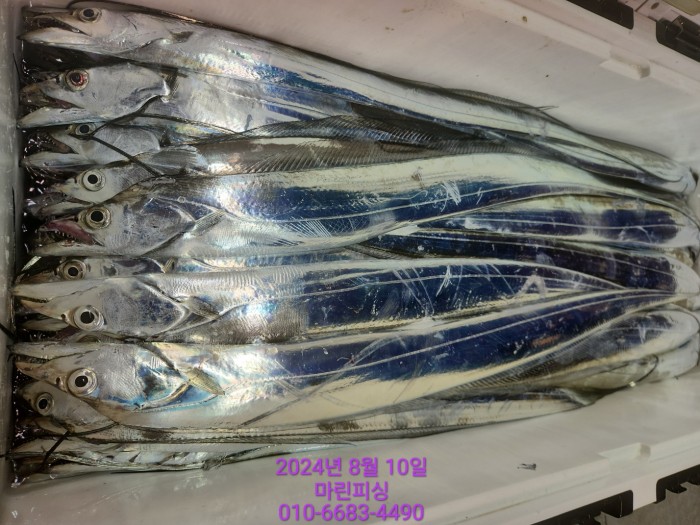 ea84bdd22956338110db5cfcc48ddb86_1723251985_8428.jpg ea84bdd22956338110db5cfcc48ddb86_1723251985_8428.jpg