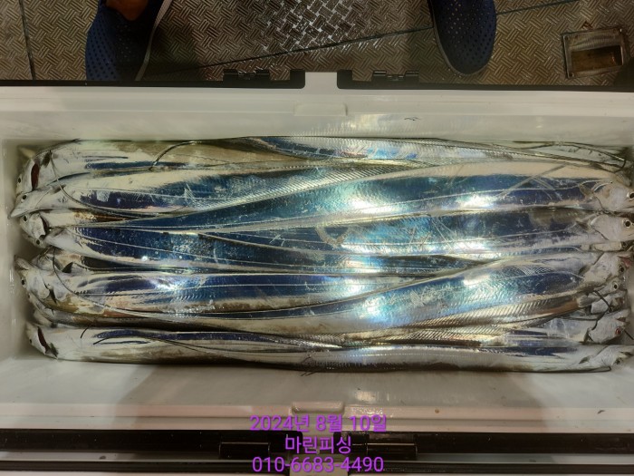 ea84bdd22956338110db5cfcc48ddb86_1723251987_0995.jpg ea84bdd22956338110db5cfcc48ddb86_1723251987_0995.jpg