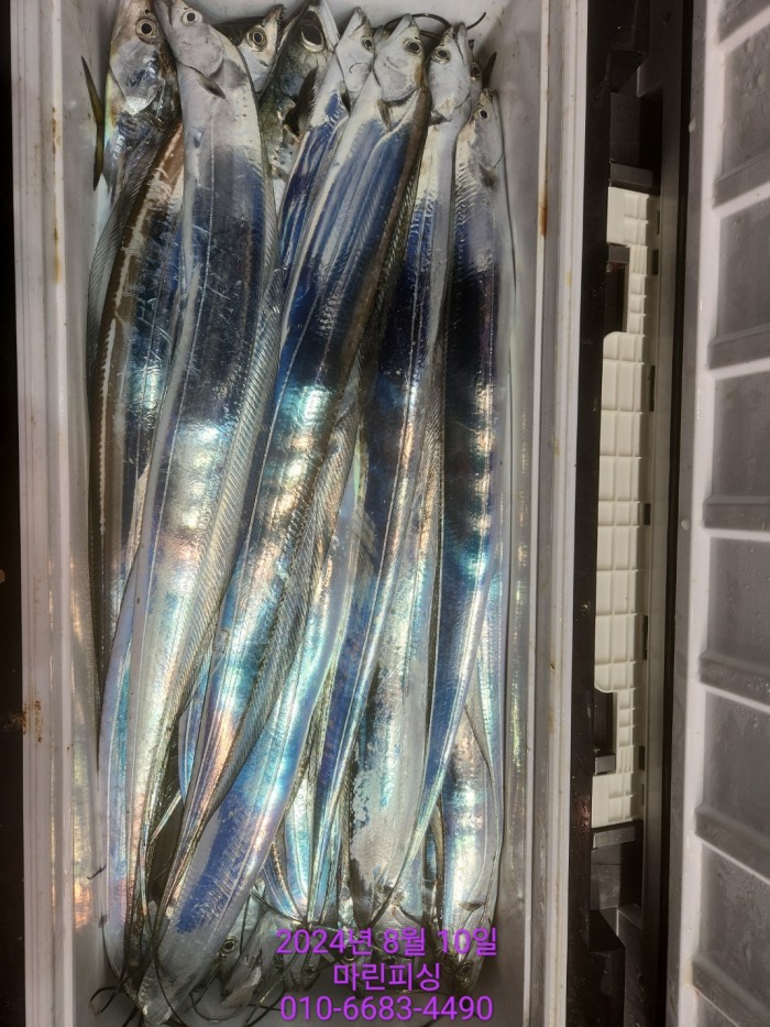 ea84bdd22956338110db5cfcc48ddb86_1723251988_2972.jpg ea84bdd22956338110db5cfcc48ddb86_1723251988_2972.jpg