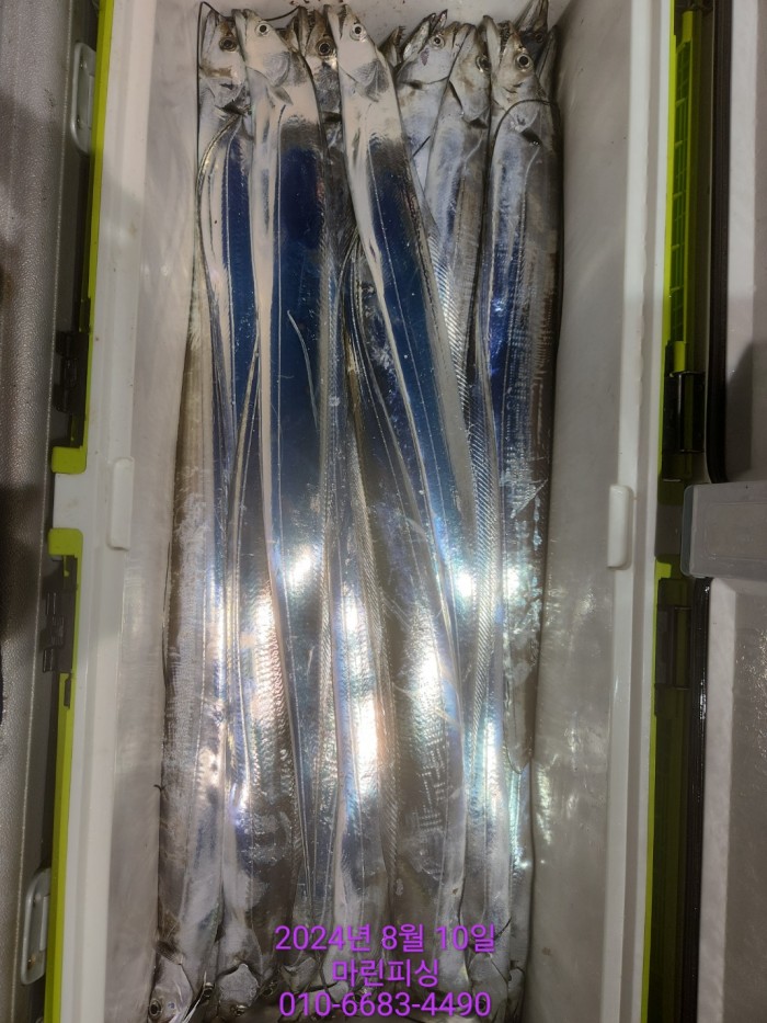 ea84bdd22956338110db5cfcc48ddb86_1723251991_4981.jpg ea84bdd22956338110db5cfcc48ddb86_1723251991_4981.jpg