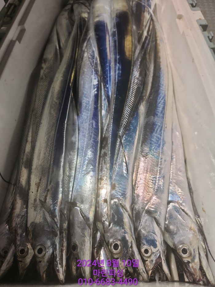 ea84bdd22956338110db5cfcc48ddb86_1723252002_0915.jpg ea84bdd22956338110db5cfcc48ddb86_1723252002_0915.jpg