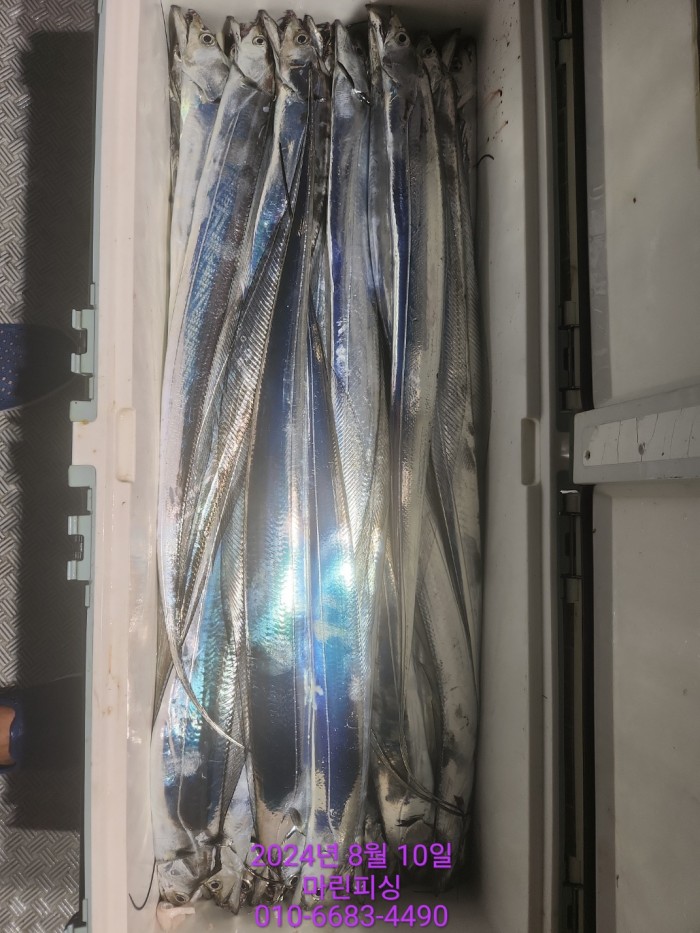 ea84bdd22956338110db5cfcc48ddb86_1723252011_6389.jpg ea84bdd22956338110db5cfcc48ddb86_1723252011_6389.jpg