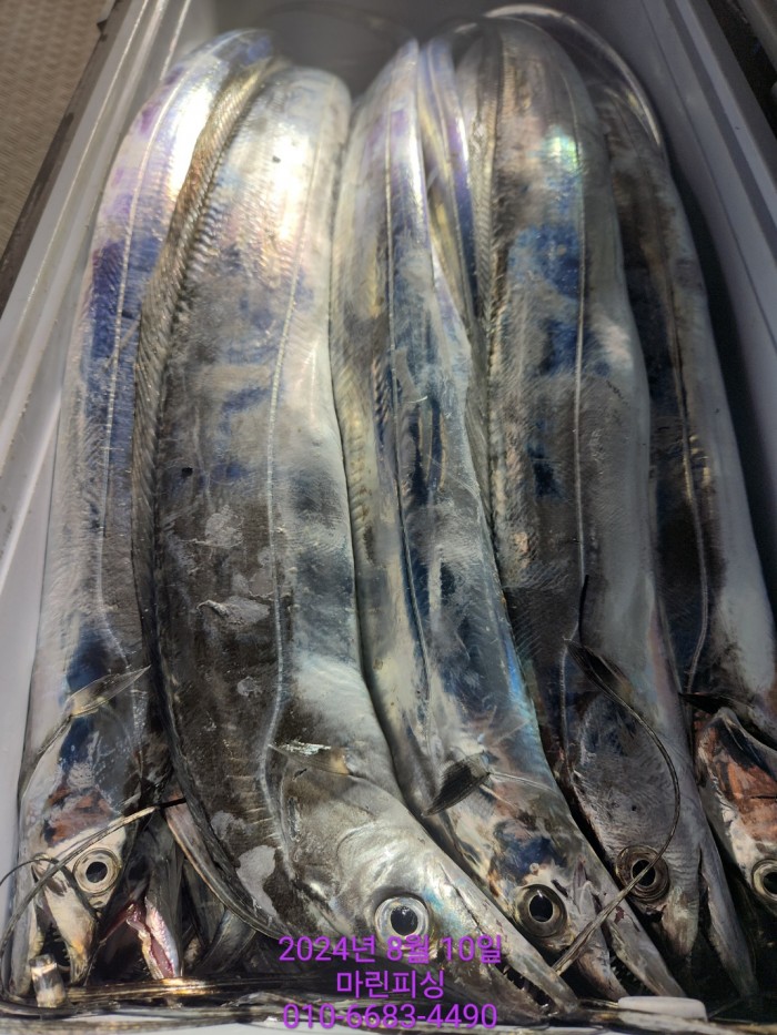 ea84bdd22956338110db5cfcc48ddb86_1723252012_9607.jpg ea84bdd22956338110db5cfcc48ddb86_1723252012_9607.jpg