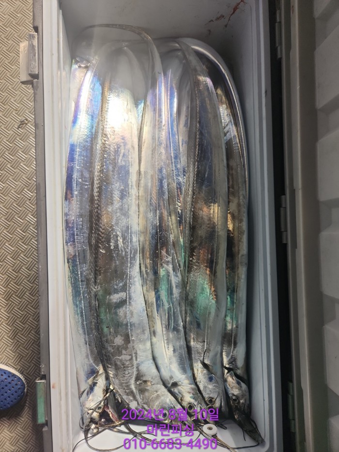 ea84bdd22956338110db5cfcc48ddb86_1723252014_1155.jpg ea84bdd22956338110db5cfcc48ddb86_1723252014_1155.jpg