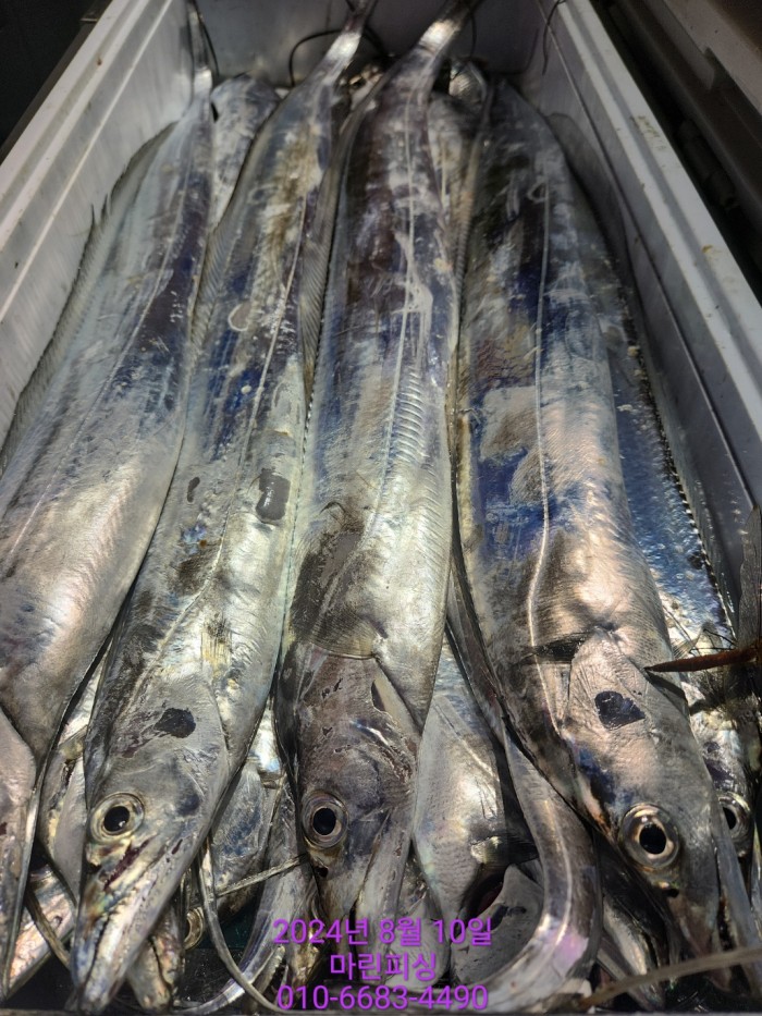 ea84bdd22956338110db5cfcc48ddb86_1723252015_665.jpg ea84bdd22956338110db5cfcc48ddb86_1723252015_665.jpg