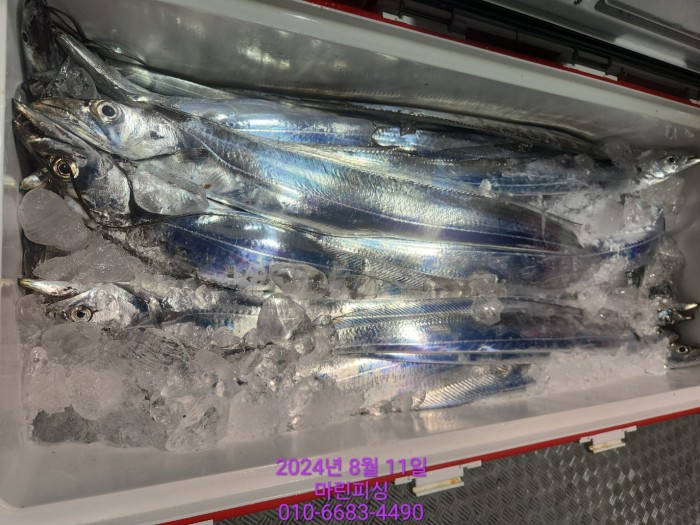 ea84bdd22956338110db5cfcc48ddb86_1723336874_6057.jpg ea84bdd22956338110db5cfcc48ddb86_1723336874_6057.jpg