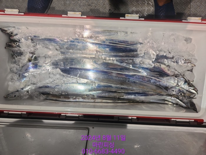 ea84bdd22956338110db5cfcc48ddb86_1723336875_6602.jpg ea84bdd22956338110db5cfcc48ddb86_1723336875_6602.jpg