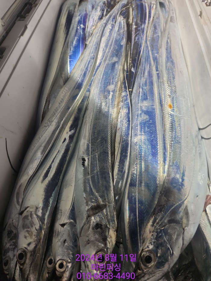 ea84bdd22956338110db5cfcc48ddb86_1723336876_8341.jpg ea84bdd22956338110db5cfcc48ddb86_1723336876_8341.jpg