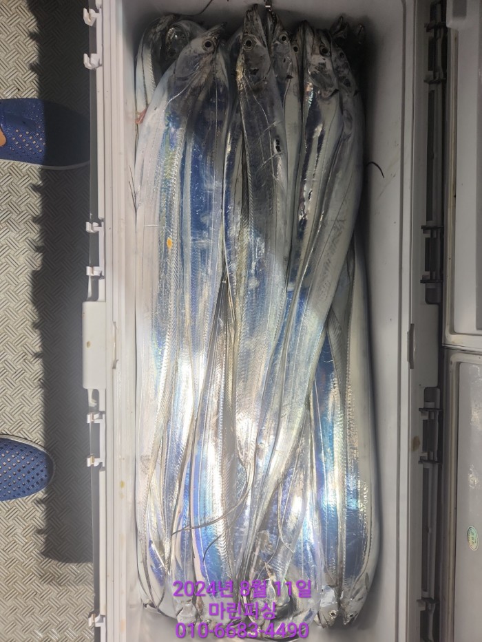 ea84bdd22956338110db5cfcc48ddb86_1723336878_5098.jpg ea84bdd22956338110db5cfcc48ddb86_1723336878_5098.jpg