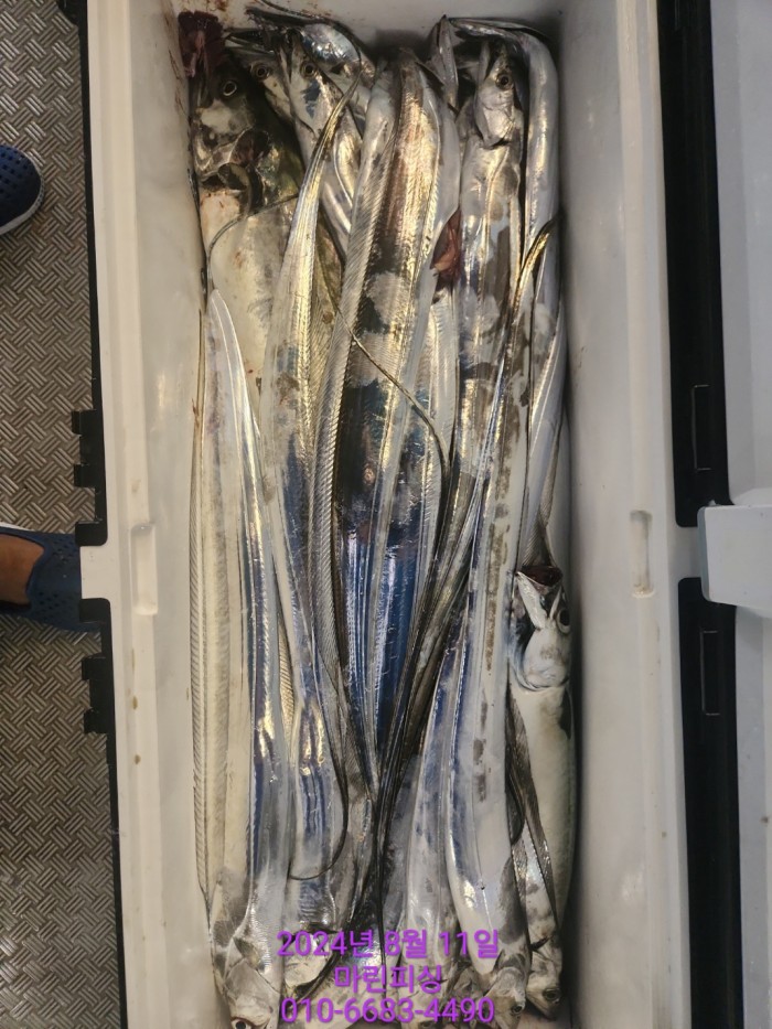 ea84bdd22956338110db5cfcc48ddb86_1723336879_7017.jpg ea84bdd22956338110db5cfcc48ddb86_1723336879_7017.jpg