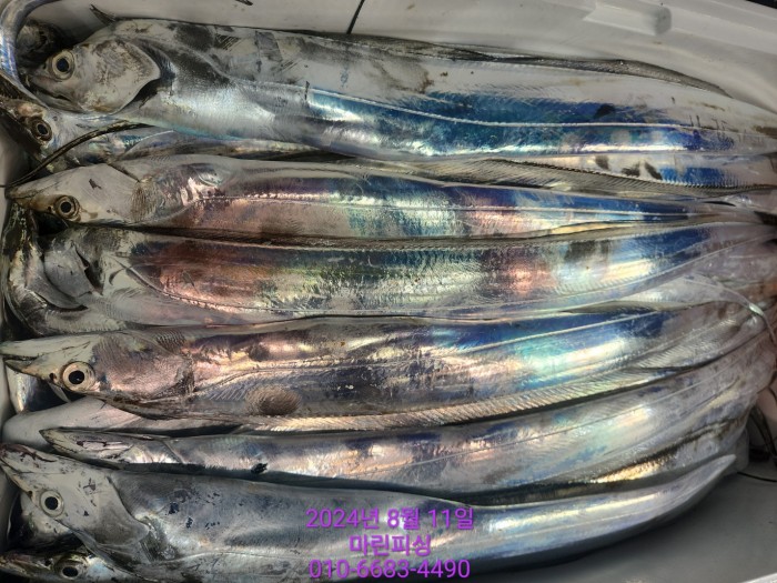 ea84bdd22956338110db5cfcc48ddb86_1723336881_2429.jpg ea84bdd22956338110db5cfcc48ddb86_1723336881_2429.jpg