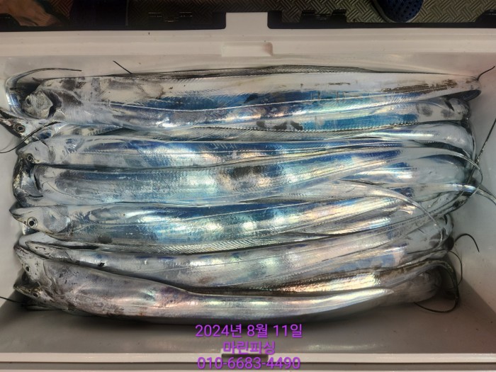 ea84bdd22956338110db5cfcc48ddb86_1723336882_4816.jpg ea84bdd22956338110db5cfcc48ddb86_1723336882_4816.jpg