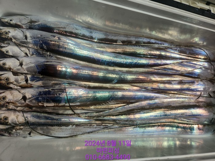 ea84bdd22956338110db5cfcc48ddb86_1723336883_7802.jpg ea84bdd22956338110db5cfcc48ddb86_1723336883_7802.jpg