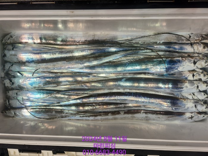 ea84bdd22956338110db5cfcc48ddb86_1723336885_0507.jpg ea84bdd22956338110db5cfcc48ddb86_1723336885_0507.jpg