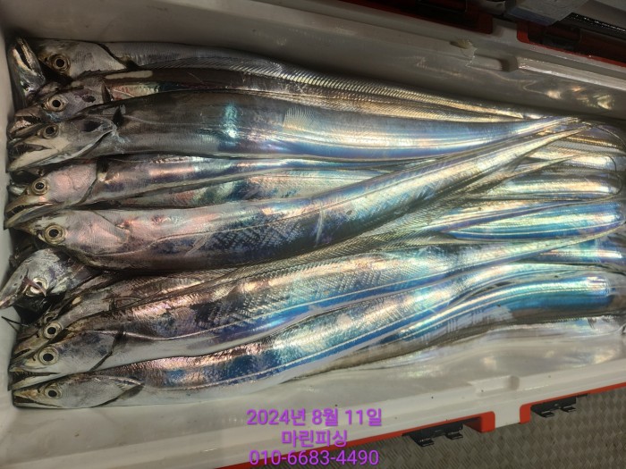 ea84bdd22956338110db5cfcc48ddb86_1723336886_2796.jpg ea84bdd22956338110db5cfcc48ddb86_1723336886_2796.jpg