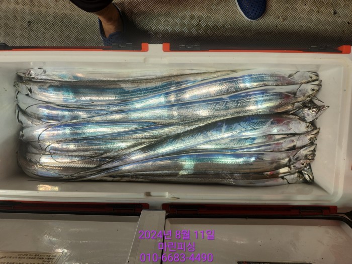 ea84bdd22956338110db5cfcc48ddb86_1723336887_4039.jpg ea84bdd22956338110db5cfcc48ddb86_1723336887_4039.jpg