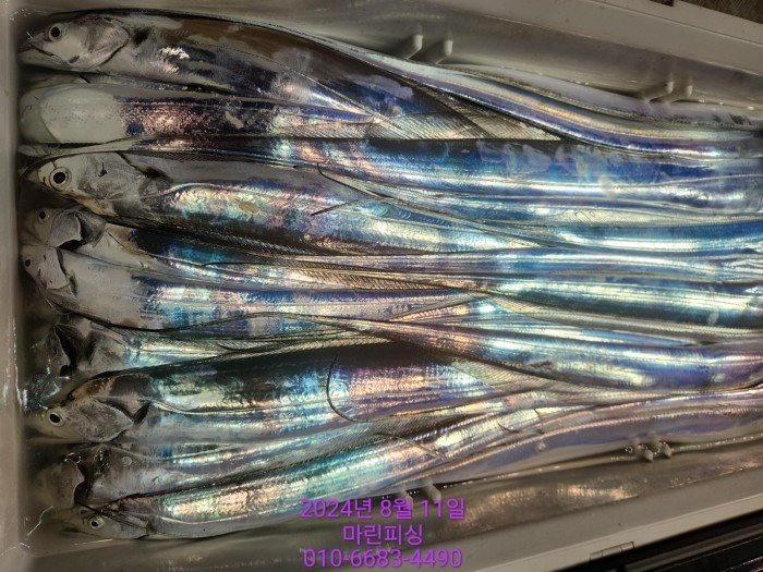 ea84bdd22956338110db5cfcc48ddb86_1723336888_5959.jpg ea84bdd22956338110db5cfcc48ddb86_1723336888_5959.jpg