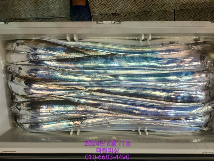 ea84bdd22956338110db5cfcc48ddb86_1723336889_8313.jpg ea84bdd22956338110db5cfcc48ddb86_1723336889_8313.jpg