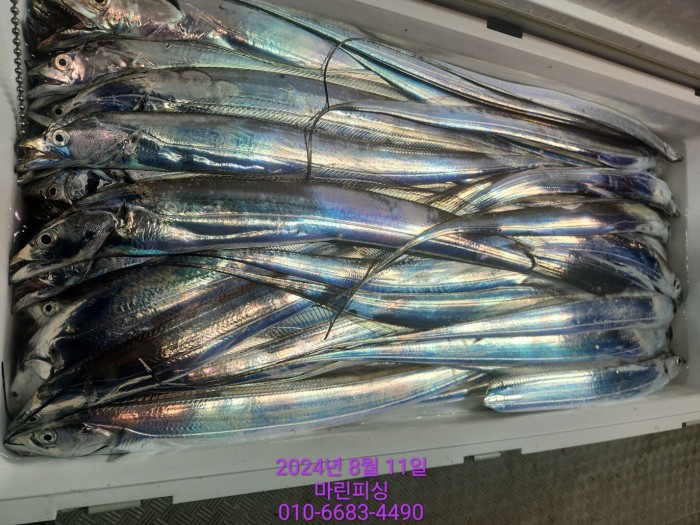 ea84bdd22956338110db5cfcc48ddb86_1723336891_3736.jpg ea84bdd22956338110db5cfcc48ddb86_1723336891_3736.jpg