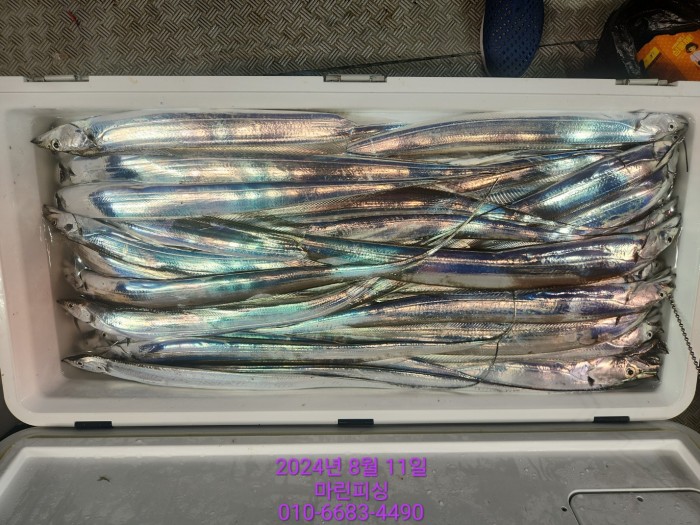 ea84bdd22956338110db5cfcc48ddb86_1723336892_8398.jpg ea84bdd22956338110db5cfcc48ddb86_1723336892_8398.jpg