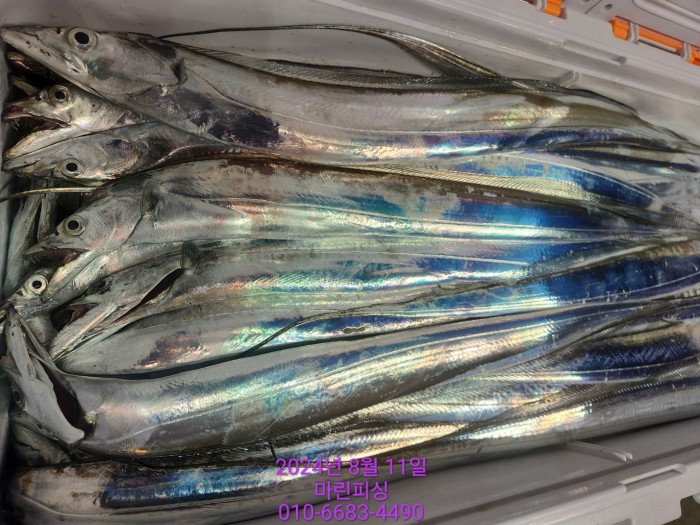 ea84bdd22956338110db5cfcc48ddb86_1723336894_1649.jpg ea84bdd22956338110db5cfcc48ddb86_1723336894_1649.jpg