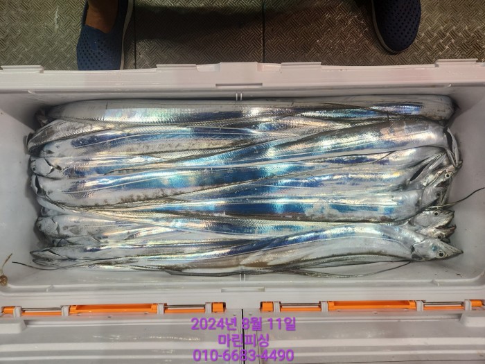 ea84bdd22956338110db5cfcc48ddb86_1723336895_715.jpg ea84bdd22956338110db5cfcc48ddb86_1723336895_715.jpg