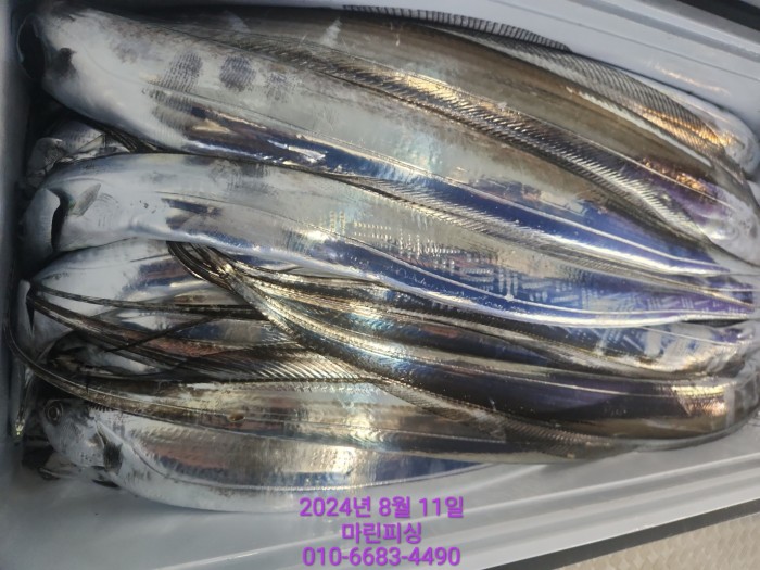 ea84bdd22956338110db5cfcc48ddb86_1723336896_6763.jpg ea84bdd22956338110db5cfcc48ddb86_1723336896_6763.jpg