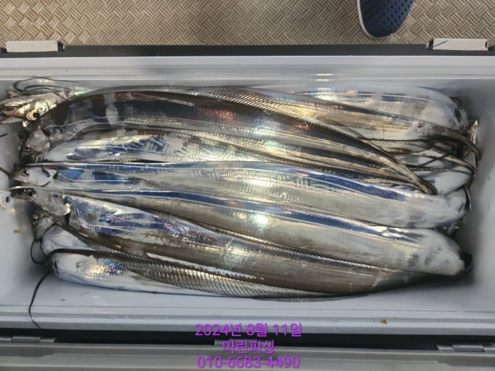 ea84bdd22956338110db5cfcc48ddb86_1723336897_6365.jpg ea84bdd22956338110db5cfcc48ddb86_1723336897_6365.jpg